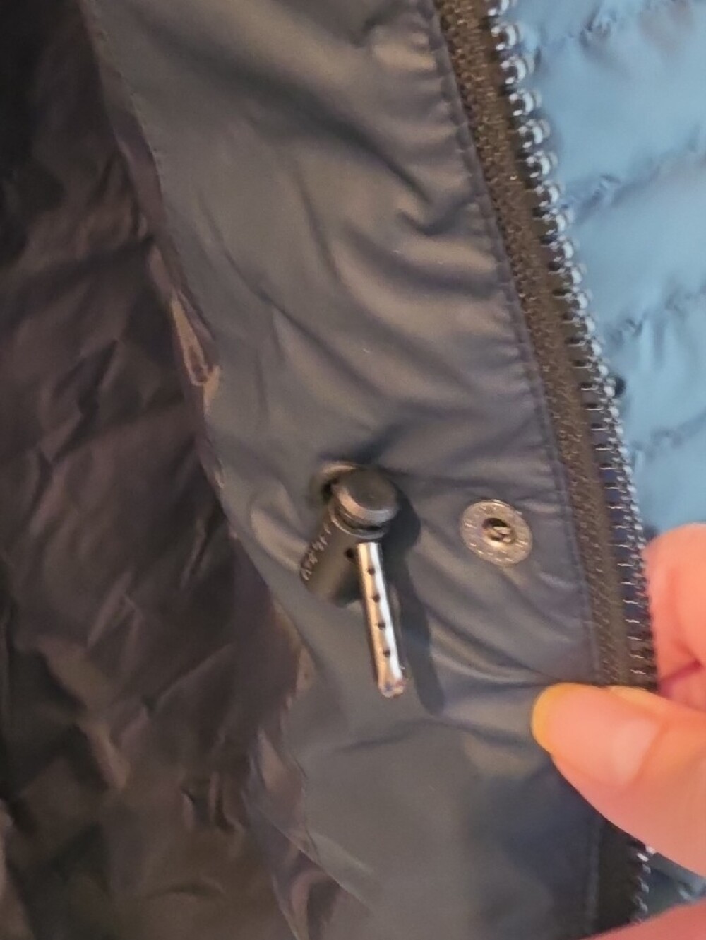 Hunter Womens Quilted Puffer Jacket in Black - Picture 3 of 5